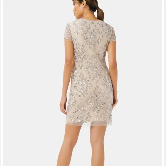 Adrianna Papell Tan and Silver Embellished Dress - Picture 3 of 12